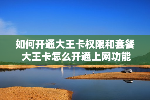 如何开通大王卡权限和套餐 大王卡怎么开通上网功能