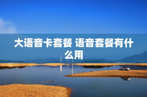大语音卡套餐 语音套餐有什么用