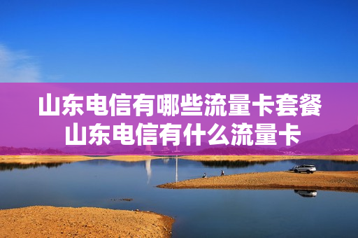 山东电信有哪些流量卡套餐 山东电信有什么流量卡