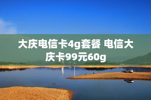 大庆电信卡4g套餐 电信大庆卡99元60g