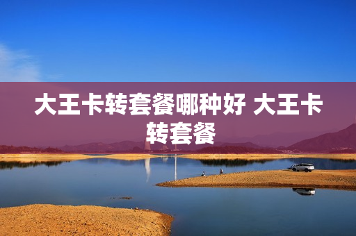 大王卡转套餐哪种好 大王卡 转套餐