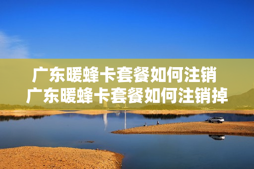 广东暖蜂卡套餐如何注销 广东暖蜂卡套餐如何注销掉