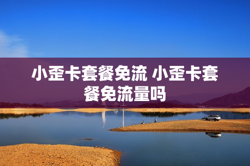 小歪卡套餐免流 小歪卡套餐免流量吗