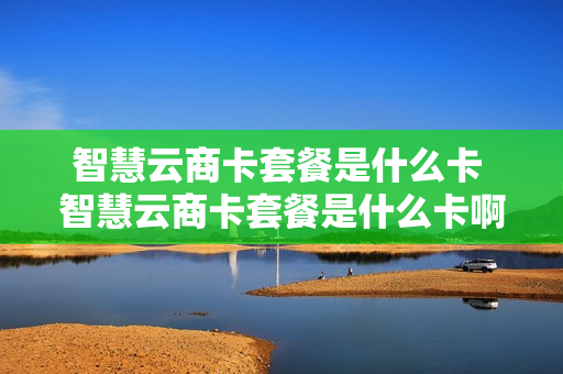 智慧云商卡套餐是什么卡 智慧云商卡套餐是什么卡啊