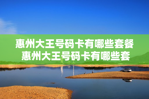 惠州大王号码卡有哪些套餐 惠州大王号码卡有哪些套餐的