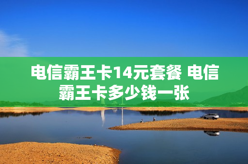 电信霸王卡14元套餐 电信霸王卡多少钱一张