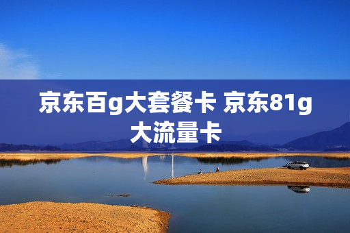 京东百g大套餐卡 京东81g大流量卡