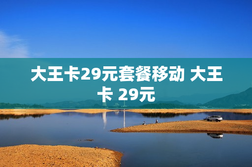 大王卡29元套餐移动 大王卡 29元