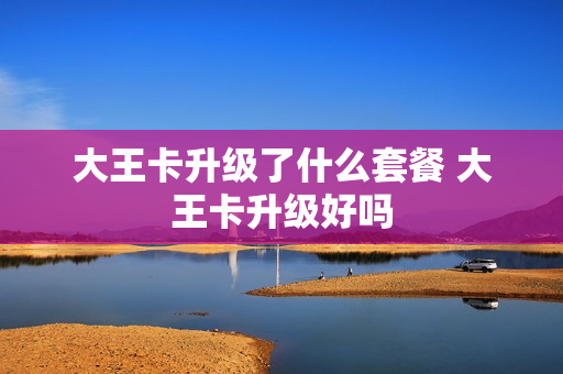 大王卡升级了什么套餐 大王卡升级好吗