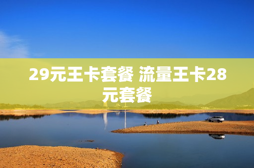 29元王卡套餐 流量王卡28元套餐