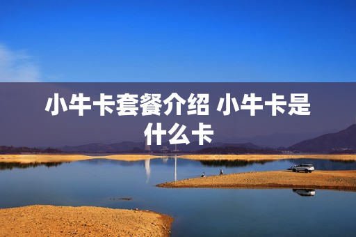 小牛卡套餐介绍 小牛卡是什么卡