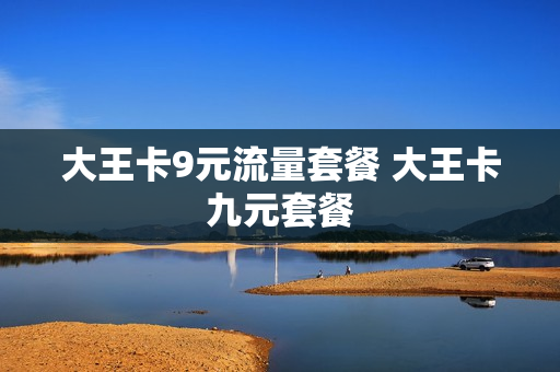 大王卡9元流量套餐 大王卡九元套餐