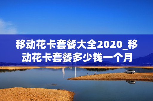 移动花卡套餐大全2020_移动花卡套餐多少钱一个月