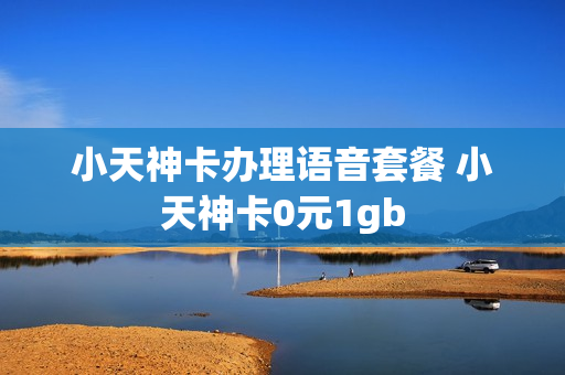 小天神卡办理语音套餐 小天神卡0元1gb