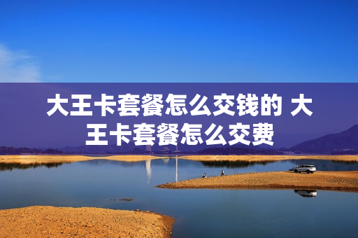 大王卡套餐怎么交钱的 大王卡套餐怎么交费