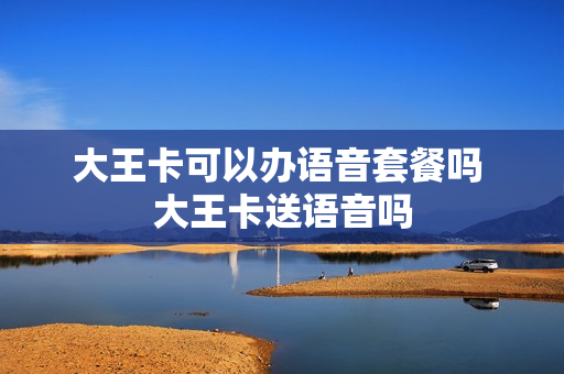 大王卡可以办语音套餐吗 大王卡送语音吗