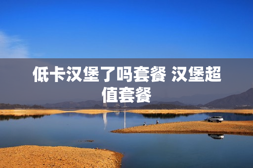 低卡汉堡了吗套餐 汉堡超值套餐