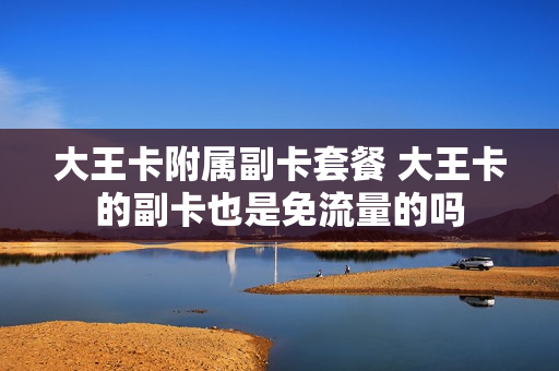 大王卡附属副卡套餐 大王卡的副卡也是免流量的吗