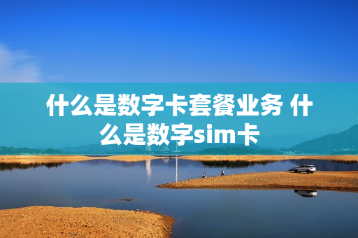 什么是数字卡套餐业务 什么是数字sim卡