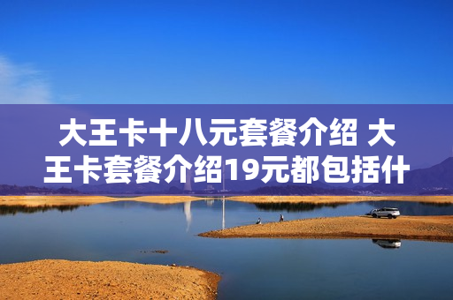 大王卡十八元套餐介绍 大王卡套餐介绍19元都包括什么