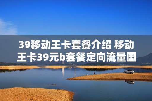 39移动王卡套餐介绍 移动王卡39元b套餐定向流量国内定向流量