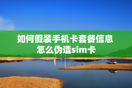如何假装手机卡套餐信息 怎么伪造sim卡