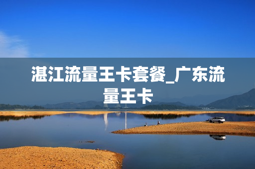 湛江流量王卡套餐_广东流量王卡