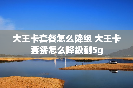 大王卡套餐怎么降级 大王卡套餐怎么降级到5g