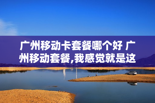 广州移动卡套餐哪个好 广州移动套餐,我感觉就是这个最实惠了
