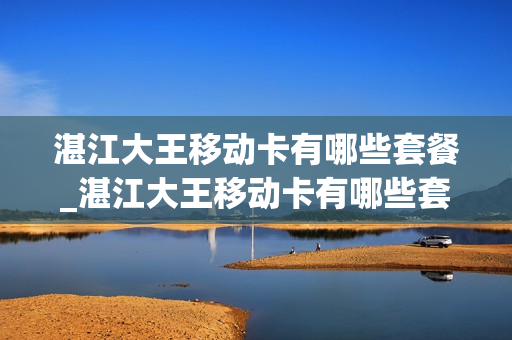 湛江大王移动卡有哪些套餐_湛江大王移动卡有哪些套餐可以办理