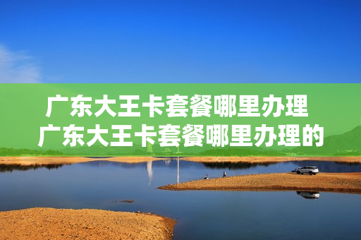 广东大王卡套餐哪里办理 广东大王卡套餐哪里办理的