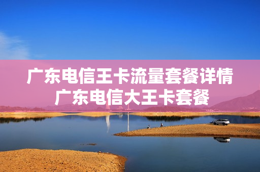 广东电信王卡流量套餐详情 广东电信大王卡套餐