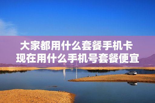 大家都用什么套餐手机卡 现在用什么手机号套餐便宜