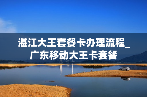湛江大王套餐卡办理流程_广东移动大王卡套餐