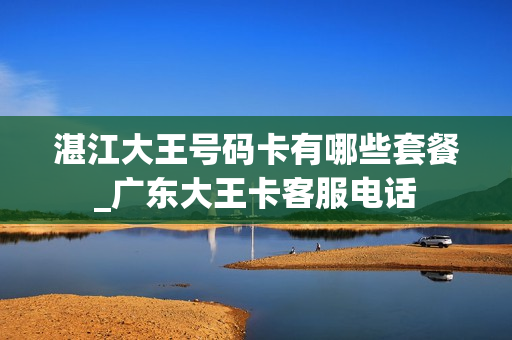 湛江大王号码卡有哪些套餐_广东大王卡客服电话
