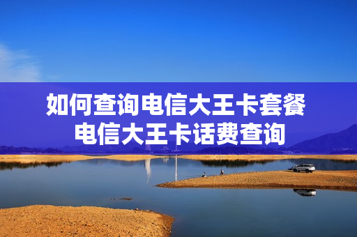 如何查询电信大王卡套餐 电信大王卡话费查询