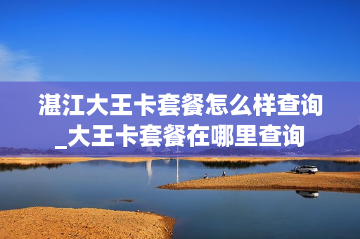 湛江大王卡套餐怎么样查询_大王卡套餐在哪里查询