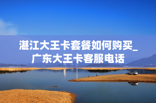 湛江大王卡套餐如何购买_广东大王卡客服电话