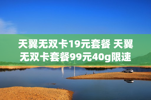 天翼无双卡19元套餐 天翼无双卡套餐99元40g限速
