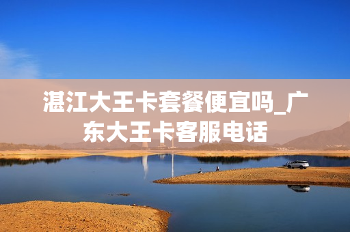 湛江大王卡套餐便宜吗_广东大王卡客服电话