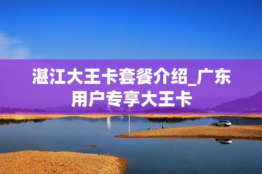 湛江大王卡套餐介绍_广东用户专享大王卡