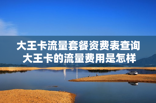 大王卡流量套餐资费表查询 大王卡的流量费用是怎样算的