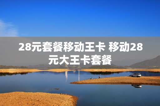 28元套餐移动王卡 移动28元大王卡套餐