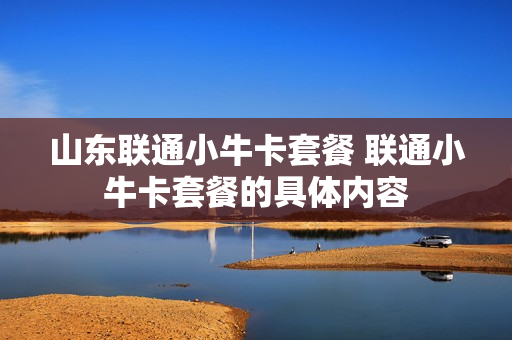 山东联通小牛卡套餐 联通小牛卡套餐的具体内容