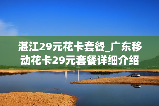 湛江29元花卡套餐_广东移动花卡29元套餐详细介绍