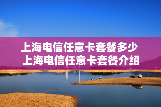 上海电信任意卡套餐多少 上海电信任意卡套餐介绍