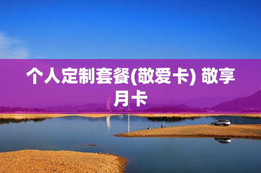 个人定制套餐(敬爱卡) 敬享月卡