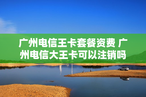 广州电信王卡套餐资费 广州电信大王卡可以注销吗