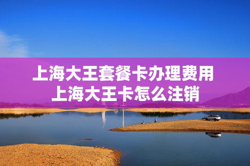 上海大王套餐卡办理费用 上海大王卡怎么注销