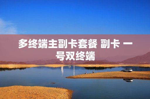 多终端主副卡套餐 副卡 一号双终端